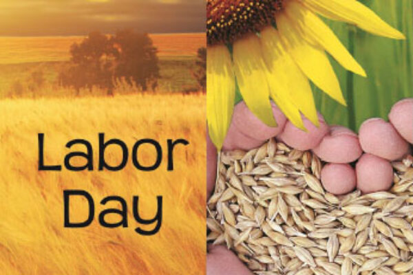 Labor Day: 23rd Sunday in Ordinary Time