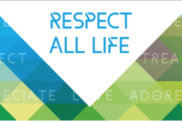 Respect Life • Our Parish