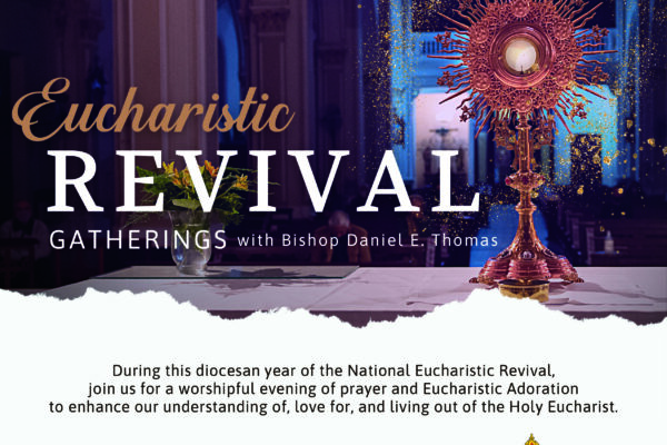 Diocesan Eucharistic Revival Gatherings